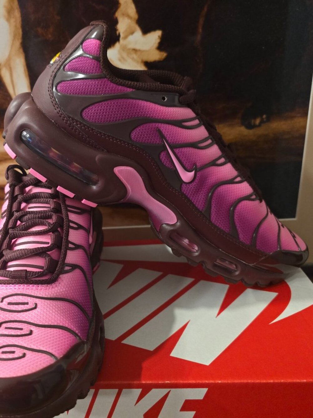 Nike WMNS Air Max Plus Burgundy Cactus Flower DZ3670-600 Women's Size 7 US NEW